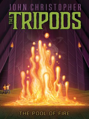The Pool of Fire - ebook